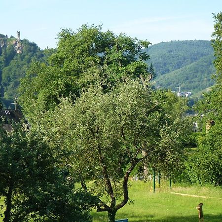 Appartement Feriendomizil Im Plantert à Traben-Trarbach Extérieur photo