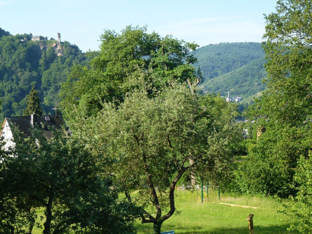 Appartement Feriendomizil Im Plantert à Traben-Trarbach Extérieur photo